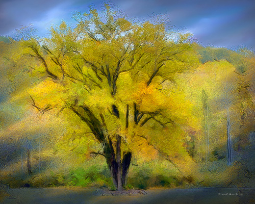 Proverbial Tree - Autumn